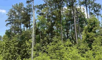 Grand Quiviera Circle, Alford, FL 32420