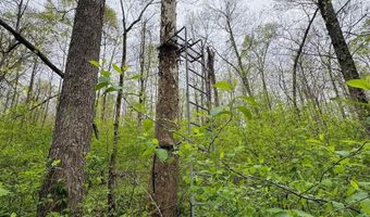 Tract 5 E Pine Road Common, Bloomfield, IN 47424