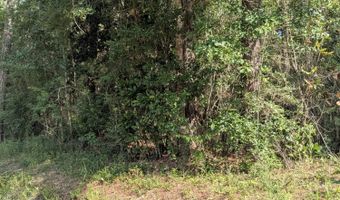 W. Newton Street, Bay St. Louis, MS 39520