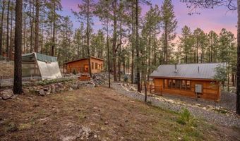 24 County Rd 2267, Alpine, AZ 85920