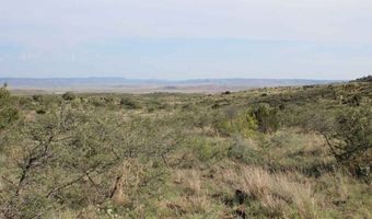 Tract 39 Sierra La Rana, Alpine, TX 79830