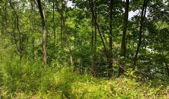 0 Lakeside Drive Lot 27-32 Lot 27-32, Arley, AL 35541