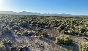 40 Acres Northwest Ryndon, Elko, NV 89801