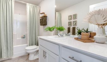 2988 T St, Springfield, OR 97477