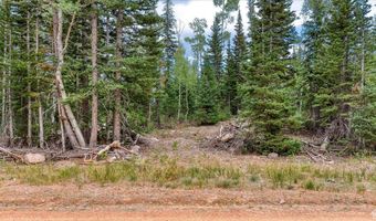 384 N 275 E 61, Brian Head, UT 84719