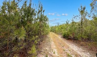 Broadview Avenue, Alford, FL 32420
