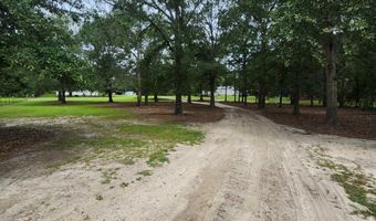786 Blackberry Rd, Baconton, GA 31716