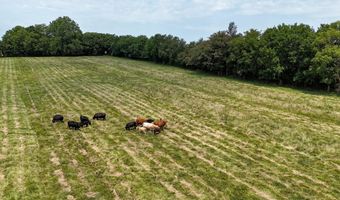 317 N Thurmond Ave, Ash Grove, MO 65604