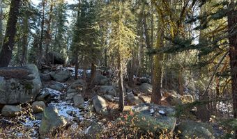 550 Cabbage Patch Log Rd, South Lake Tahoe, CA 95223