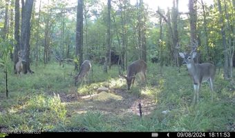 Ms-25, Brandon, MS 39047