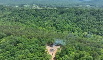 1250 Welcome Valley Rd, Benton, TN 37307