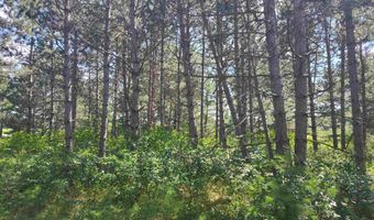 Lot 113 Beaver Lane, Arkdale, WI 54613
