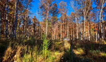 54 E Ridge Rd, Allardt, TN 38504