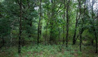 Lot 27 10th Avenue, Adams, WI 53910