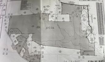 377 Acres Brent, Barnesville, GA 30204