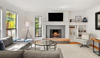 980 E Hyman Ave 3, Aspen, CO 81611