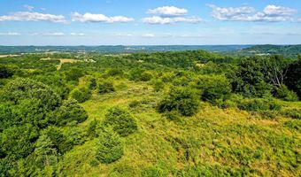 21814 State Hwy 248, Aurora, MO 65605