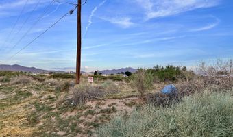 Tbd SHRODE Road, Anthony, NM 88021