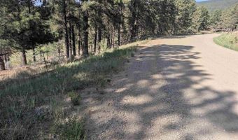 Valle Grande Trail, Angel Fire, NM 87710