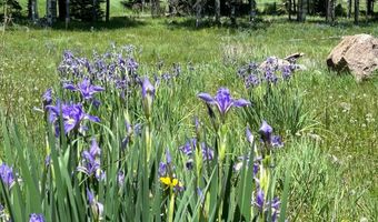 168 Mertz Pl Lot 65, Angel Fire, NM 87710