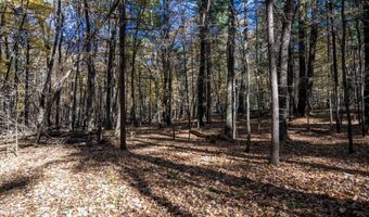 Lot 33 S Badger Lane, Arkdale, WI 54613