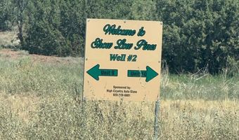 343 344 CR 8295, Concho, AZ 85924