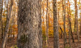 249 W Chapman Rd, Belton, SC 29627