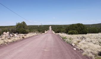 36 County Road 8249, Concho, AZ 85924