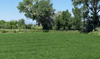 900 Calkin / Rice Rd, Fallon, NV 89406