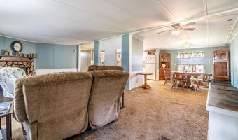 24031 ARMADILLO Rd, Astor, FL 32102