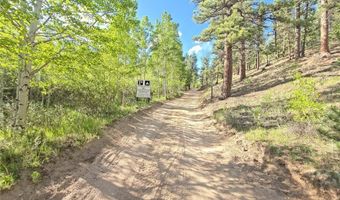 226 Hall Rd, Bailey, CO 80421