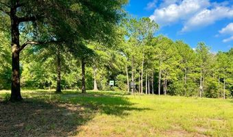 8645 Moores Mill Creek Rd, Baker, FL 32531