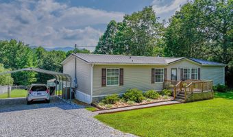1070 Bill Martin Rd, Afton, TN 37616