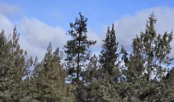 Lots 25-27 Canvasback Drive, Bonanza, OR 97623