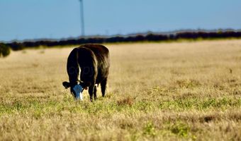 State Highway 214, Adrian, TX 79001