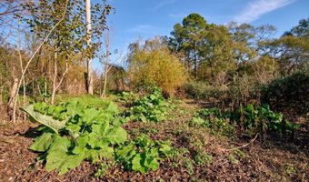 1541 Frank Hall Rd, Bolton, MS 39041