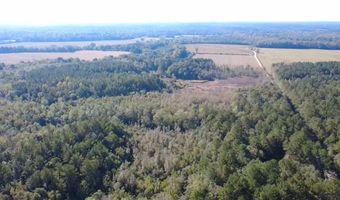 0 Bar M Farm Rd, Andalusia, AL 36421