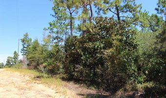 Sycamore Street, Alford, FL 32420