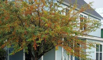 1608 CRAWFORD Way, Glenwood Springs, CO 81601