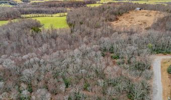 Lot 23 W Pheasant Chase, Ararat, VA 24053