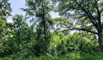 9250 92nd St SE, Alto, MI 49302