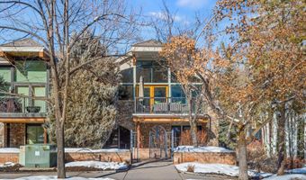 990 E Hopkins Ave, Aspen, CO 81611