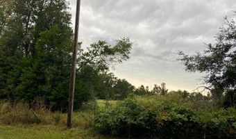 000 W CR RD1491 Rd, Alachua, FL 32615