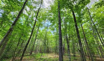 Tbd Bahalia Rd, Brookhaven, MS 39601