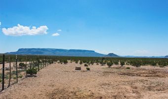 51271 S Hwy 118, Alpine, TX 79830