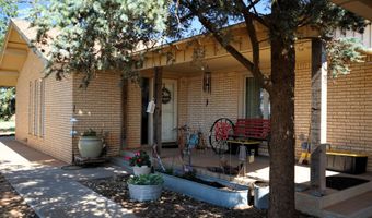 1773 Co Rd 222, Amherst, TX 79312
