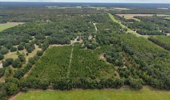 3670 25th Cir, Bell, FL 32619
