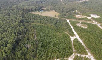 Tract 11 Mt Zion Road 11, Camden, SC 29020