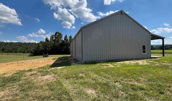 6150 SHOAL CREEK Rd 124+/- Acres, Ashville, AL 35953