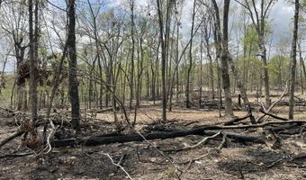State Hwy N Tract G, Ava, MO 65608